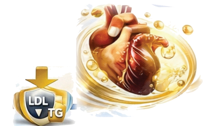 Heart Care
